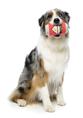 Lager  Dog Toy -FINAL SALE NO RETURNS OR EXCHANGES